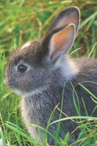 Bunny Rabbit Portable Notebook