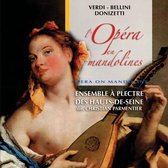 Ens A Plectre Des Hauts-De-Seine - Opera En Mandolines
