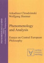 Phenomenology and Analysis