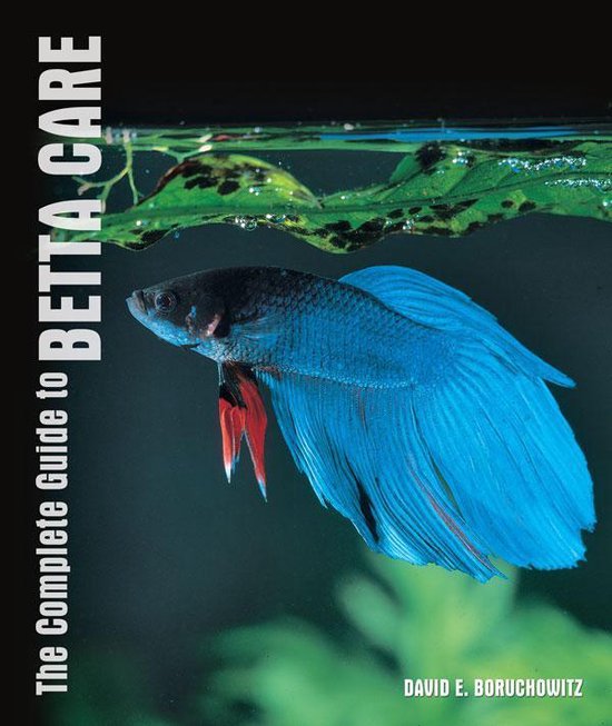 The Complete Guide to Betta Care - cover