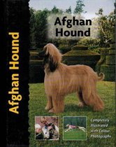 Pet Love Afghan Hound
