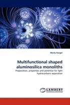 Multifunctional Shaped Aluminosilica Monoliths