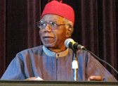 Alle artikelen van Chinua Achebe