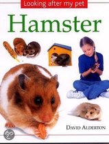 Looking After My Pet Hamster