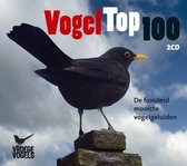 Vogel Top 100