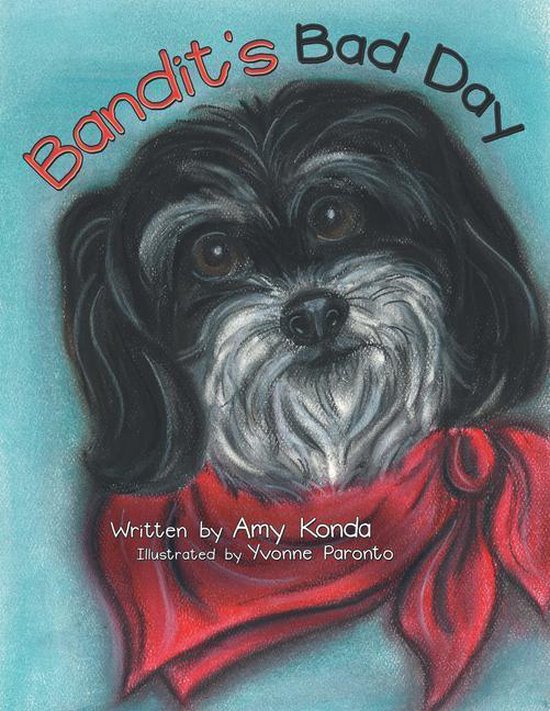 Bandit’S Bad Day - cover