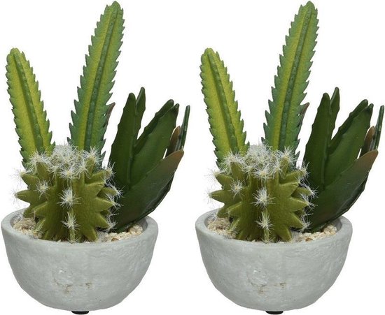 cafe Tranen Grondwet 2x Groene cactus kunstplanten 20 cm in betonnen pot -  Kunstplanten/nepplanten -... | bol.com