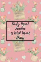 Daily Mood Tracker 12 Week Mood Diary