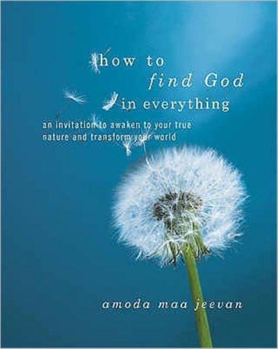 How to Find God in Everything - Amoda Maa Jeevan