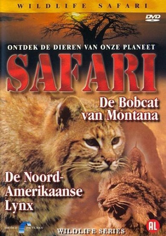 Safari - Bobocat & Amerikaanse Lynx