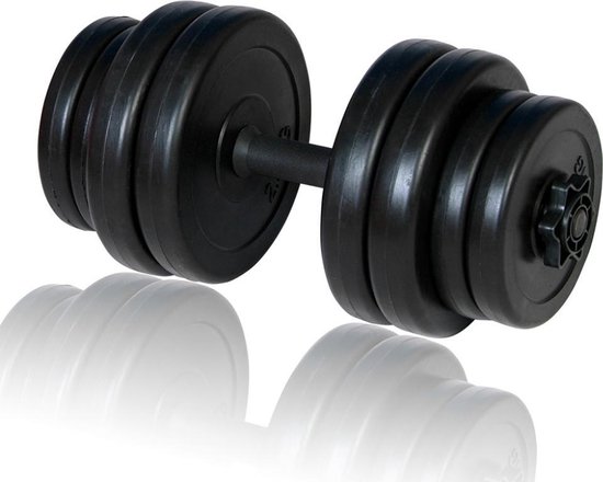 Halter gewichtheffen gewichten fitness halter dubbells 1x15kg | bol.com