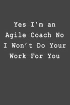 Yes I'm an Agile Coach No I Won't Do Your Work For You