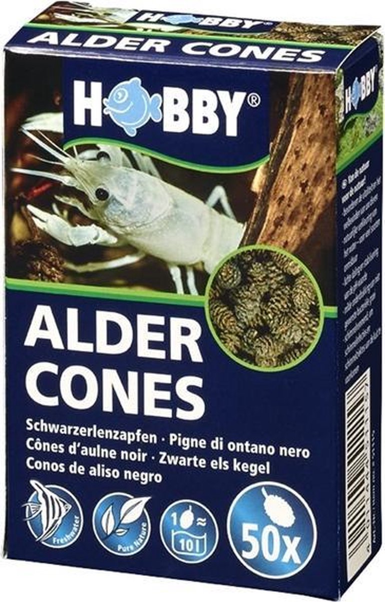 Hobby Alder Cones - 50 stuks