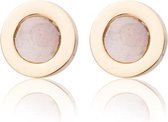 Ear Studs RVS Kleur Goud - Oorbellen Studs Stainless Steel - Sarzor