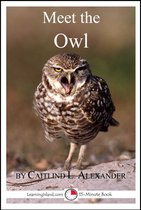 Meet the Animals - Meet the Owl