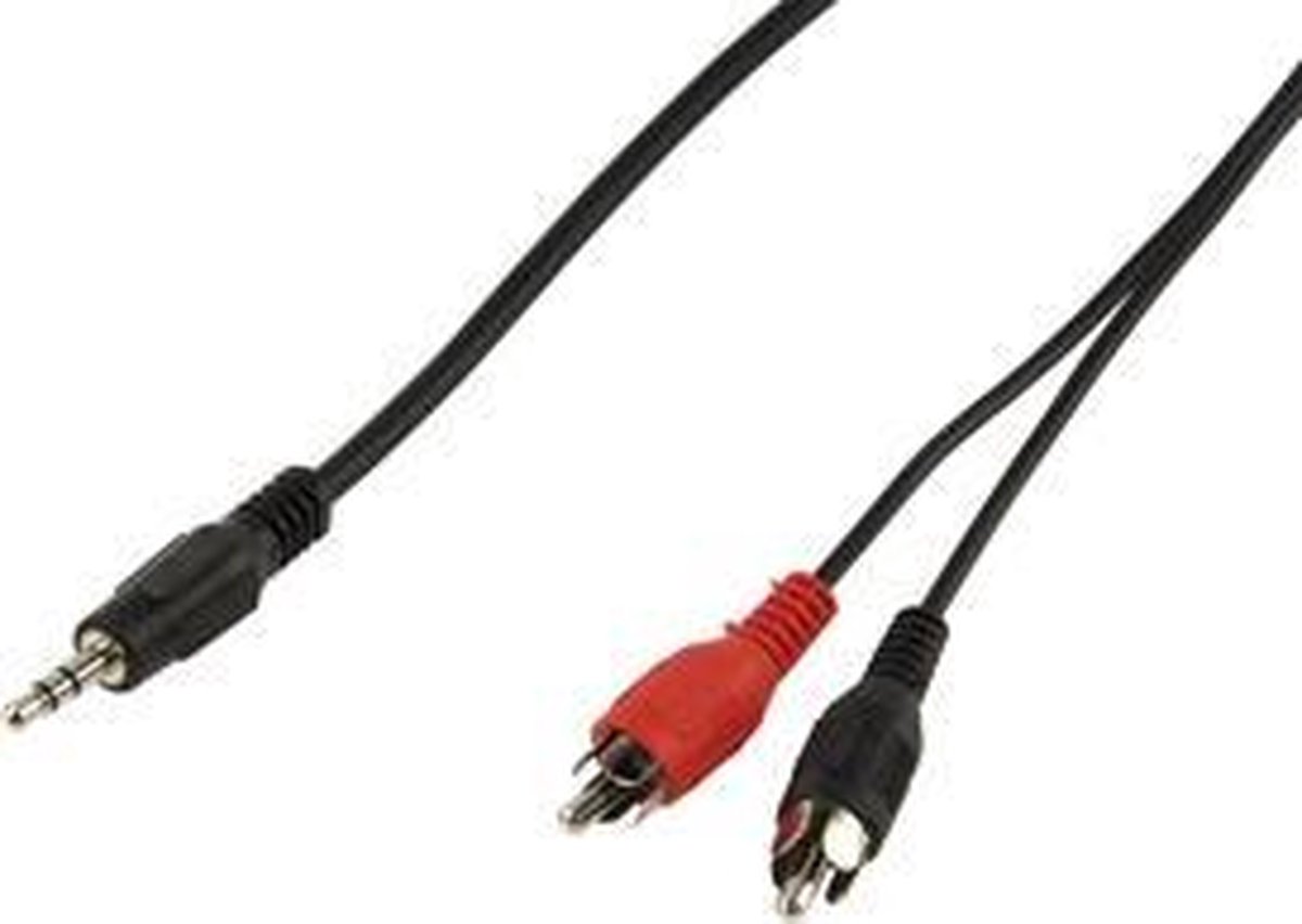3.5mm stereo mannelijk - 2x RCA mannelijk 0,20 m