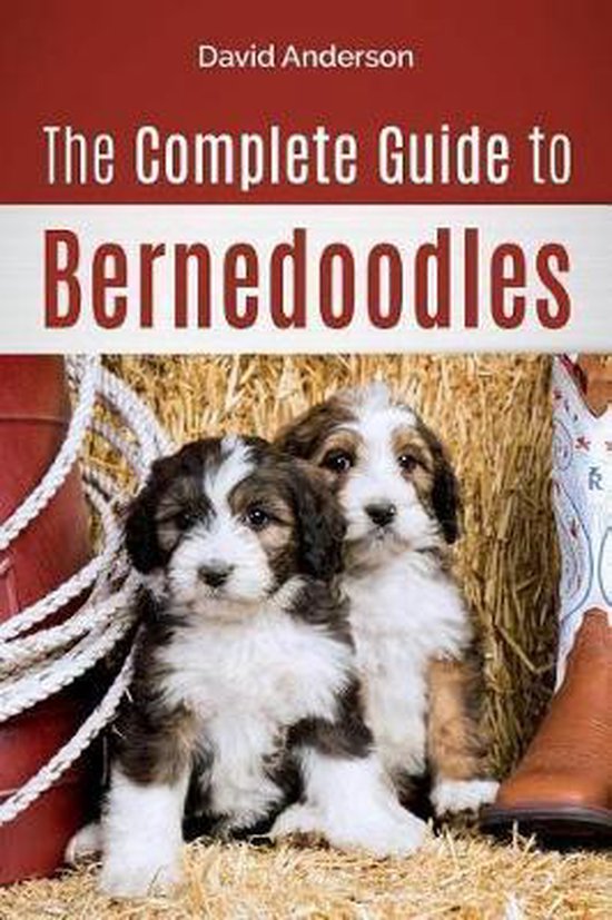 The Complete Guide to Bernedoodles - cover