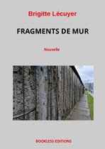 Fragments de mur