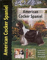 American Cocker Spaniel