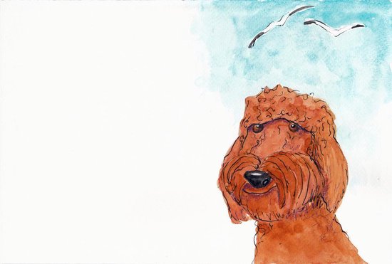 Alfie Goes To The Beach