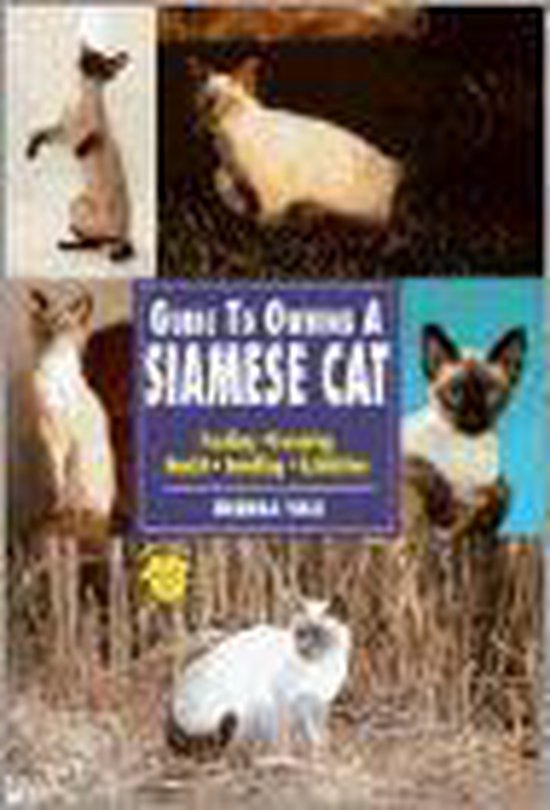 Guide to Owning a Siamese Cat