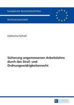 Europaeische Hochschulschriften Recht 5659 - Sicherung angemessenen Arbeitslohns durch das Straf- und Ordnungswidrigkeitenrecht