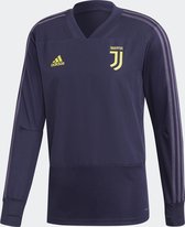 Juventus Trainingstop 2020-2021 Grey | bol.com