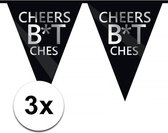 3 x Cheers Bitches vlaggenlijn 10 m