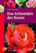 Das Schneiden Der Rosen