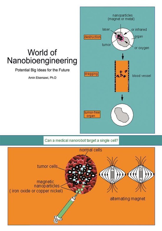 World of Nanobioengineering - cover