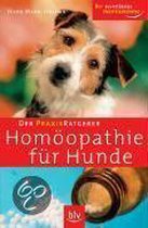 Der Praxis-Ratgeber - Homöopathie für Hunde