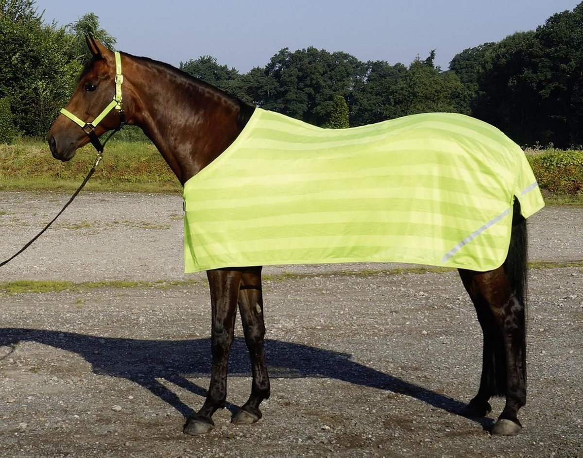 BUSSE Rug REFLECTION MAAT 185 (=135) Laatste exemplaar 135 yellow