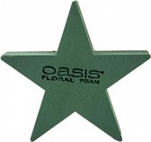 Oasis - Bioline - Steekschuim - Ster - 30x30x4,5cm - 2 stuks