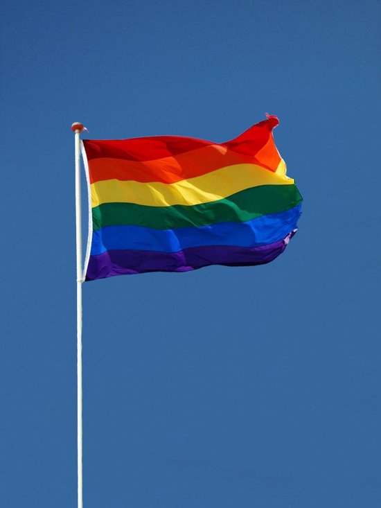 los van presentatie Goneryl Regenboog vlag (Pride vlag - LGBT vlag - Gay vlag) - 90x150cm | bol.com