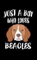 Just A Boy Who Loves Beagles