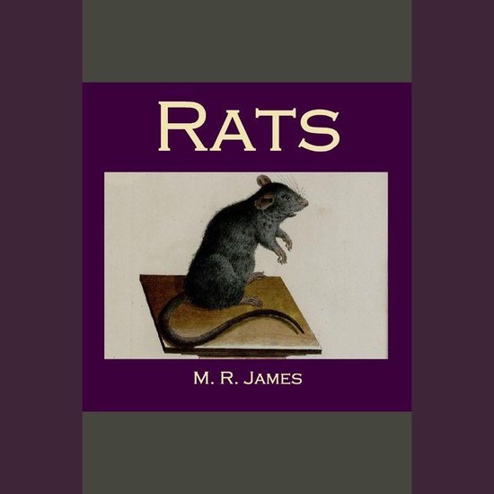 Rats - cover