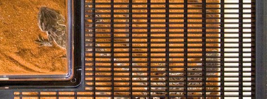 EX FAUNARIUM PLAINE L - 46,5x30,5x18cm