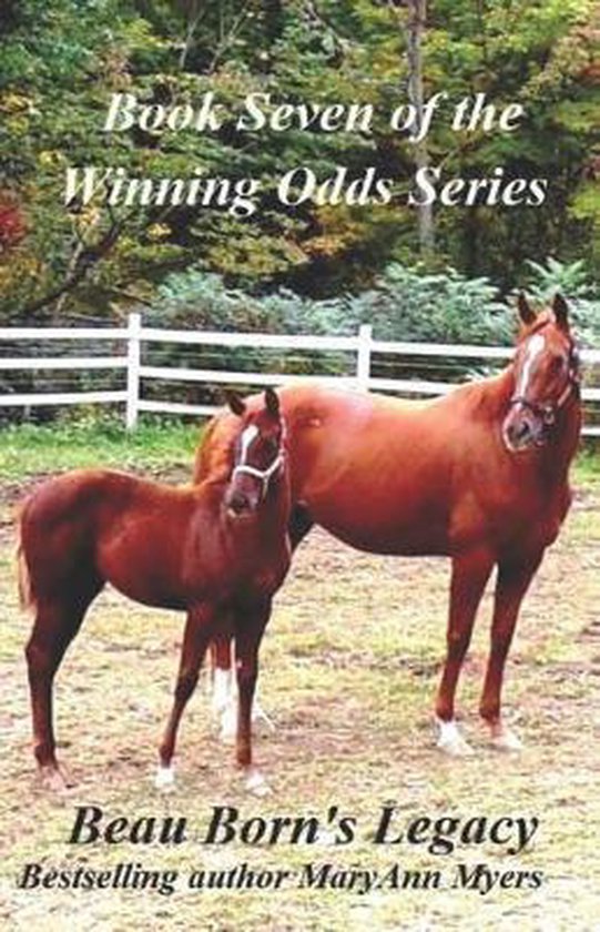Winning Odds- Beau Born's Legacy - cover