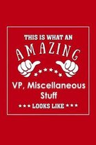 This is What an Amazing VP, Miscellaneous Stuff Looks Like