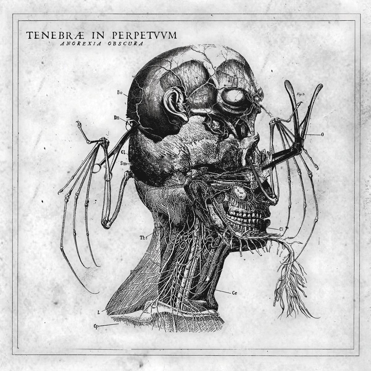 Tenebrae In Perpetuum - Anorexia Obscura -Digi-