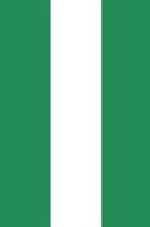 Nigeria Flag Notebook - Nigerian Flag Book - Nigeria Travel Journal
