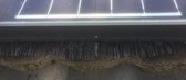 vogelweringborstel , vogelwering zonnepanelenborstel ,dakgootegel , 2 mtr , diameter 15 cm