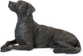 asbeeld urn Rhodesian Ridgeback hondenurn