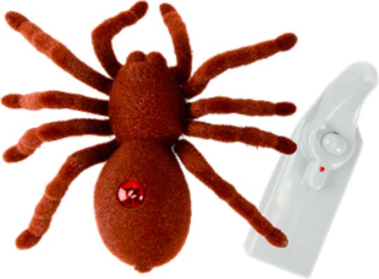 beroemd bijvoorbeeld Verplaatsbaar Speelgoed tarantula - Op afstand bestuurbaar - Met ledlicht | Spin | Remote  Control Spider | bol.com