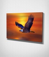 Eagle Canvas | 80x120 cm