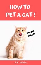 How to pet a cat - How to pet a cat!