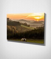 Horse In Field Canvas - 100 x 70 cm - Landschap - Schilderij - Canvas - Slaapkamer - Wanddecoratie  - Slaapkamer - Foto op canvas