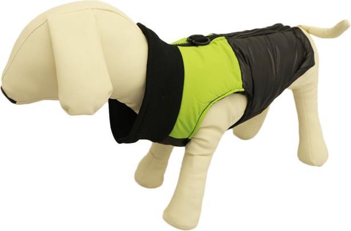 BODYWARMER MET GROEN STREEP VOOR DE HOND LXS ( rug lengte 51 cm, borst omvang 62... BODYWARMER MET GROEN STREEP VOOR DE HOND LXS ( rug lengte 51 cm, borst omvang 62...