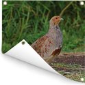 PDP.ProductImage.Thumb.Image.srtText 8
