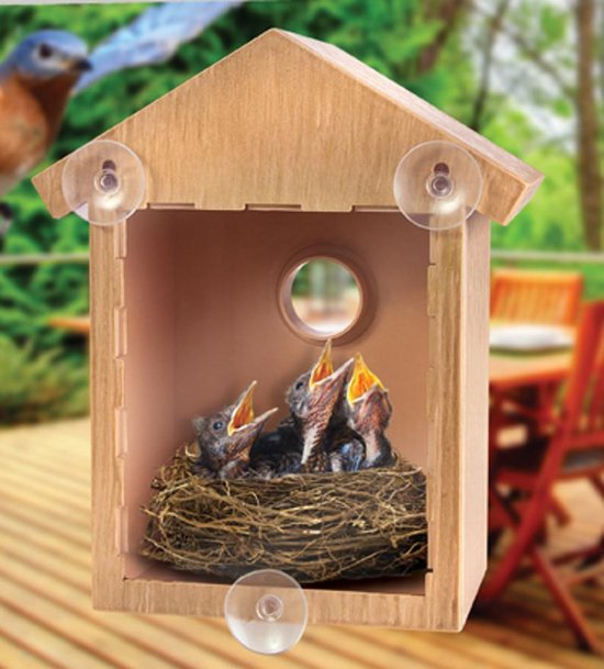 Basic Kunststof Vogelhuisje - Transparante Achterzijde met zuignappen |  bol.com